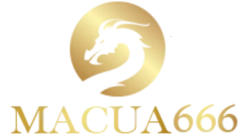 MACUA666 เว็บพนันครบวงจร สล็อต บอล คาสิโน